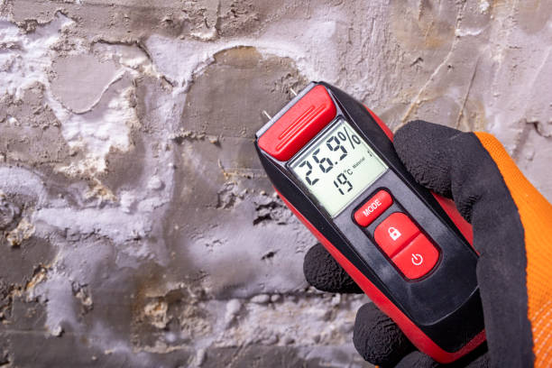 Best DIY Mold Remediation Support Services in Joanna, SC