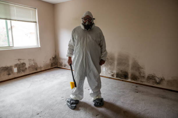 Best Mold Testing and Inspection Services in Joanna, SC